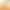 Domestic Hazelnut Kernels, Crushed Nuts, Baking Ingredients, Biscuits, Pastries, Mooncake Fillings, Ice Cream, Cakes, Tea Drinks, Coffee Sprinkles