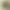 Clearance Sale Pure Linen Shorts for Women, Vintage Crochet High-Waisted Slimming Straight Wide-Leg Pants