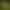Solar-powered outdoor simulated dogtail grass light LED glowing reed light outdoor courtyard landscape decorative lawn light Solar-powered outdoor simulated dogtail grass light LED glowing reed light outdoor courtyard landscape decorative lawn light