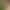 Real Shot of 2026 Summer New Style Khaki Simple Casual High-Waisted Shorts for Women, Short-Length Pants That Make You Look Taller