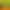 Sweet and Crispy Italian Lettuce Seeds, Crispy, Tender and Refreshing Raw Lettuce Seeds, Potted Field Farm Vegetable Seeds Sweet and Crispy Italian Lettuce Seeds, Crispy, Tender and Refreshing Raw Lettuce Seeds, Potted Field Farm Vegetable Seeds