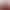 Burgundy Toast Dress for the Bride, High-End Style, 2026 New Summer Model, Petite Size, Suitable for Homecoming and Engagement, Can Be Worn Casually Burgundy Toast Dress for the Bride, High-End Style, 2026 New Summer Model, Petite Size, Suitable for Homecoming and Engagement, Can Be Worn Casually