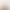 Pointed Toe Open-Toe High-Heeled Sandals for Women, Stiletto Heels, Simple One-Strap Champagne-Colored Peep-Toe High-Heeled Slippers, Cross-Border Supply