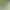 Hydroponic Gardenia Potted Plant with Buds, Easy-To-Grow Green Plant for Office Desk, Living Room Balcony, Suitable for All Seasons Hydroponic Gardenia Potted Plant with Buds, Easy-To-Grow Green Plant for Office Desk, Living Room Balcony, Suitable for All Seasons