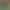 High Mountain Cloud Mist Green Tea 2026 New Tea, Strong Aroma, Authentic Laoshan Green Tea, Loose Leaf Spring Tea for Personal Use