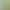 Green Flowers and Green Plants Wholesale Dragon Whisker Grass, Reed Grass, Forest Wedding Green Leaves, Fake Flowers, Wedding Silk Flowers Green Flowers and Green Plants Wholesale Dragon Whisker Grass, Reed Grass, Forest Wedding Green Leaves, Fake Flowers, Wedding Silk Flowers