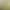 Lime green short blazer for women, 2026 early autumn new design, stylish and elegant, casual suit for petite women, trendy