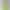 2022 New Fruit Green V-Neck Short-Sleeved T-Shirt Women's Short Loose Cotton Summer Wear Sweetheart Collar T-Shirt Top Trendy 2022 New Fruit Green V-Neck Short-Sleeved T-Shirt Women's Short Loose Cotton Summer Wear Sweetheart Collar T-Shirt Top Trendy