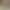 Extended Premium White Waxwood Handle, Waxwood Stick, Waxwood Handlebar, Waxwood Handlebar Hammer, Rake Handle, Spoon Handle, Agricultural Tool Handle, Waxwood Handle Extended Premium White Waxwood Handle, Waxwood Stick, Waxwood Handlebar, Waxwood Handlebar Hammer, Rake Handle, Spoon Handle, Agricultural Tool Handle, Waxwood Handle