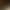 Bamboo Peacock Feather Dust Xiangfei Bamboo Ostrich Maw Sweeping Ash Home Artifact Bamboo Decoration Maw Duster Zen