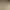 Cross-Border European and American Style 2026 Spring New Women's Fashion Tassel Design Halter Neck Sexy Backless Solid Color Dress Cross-Border European and American Style 2026 Spring New Women's Fashion Tassel Design Halter Neck Sexy Backless Solid Color Dress