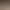 Thick-Soled Height-Increasing Double-Lace German Training Shoes for Women, 2026 Spring and Autumn New Casual Sports Versatile Brown Sneakers for Women