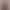 2026 Spring/Autumn New Collection: Short, stylish jackets and wool coats for middle-aged women, designed for petite figures