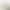 New Original Tang-Style Hanfu with One-Piece Front-Opening Skirt, High-Waisted, Fairy-Like, Everyday Wear, Spring and Summer Set
