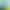Kailh BOX Zhixia switch, ethereal sound, tactile, similar to the blue switch, crisp mechanical keyboard switch, 5-pin