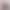 2026 New Cross-Border F1 Ferrari Embroidered Racing Suit Leather Jacket Casual Motorcycle Riding Jacket Custom-Made