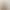 Natural bamboo straw bamboo yellow bamboo milk tea straw bar Children's Environmental Protection degradable drinking tube independent packaging bag