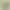Artificial line leaf wood cattail leaf curved shape water candle flower arrangement accessories Green flat leaf artificial flower fake flower