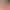 Mystery Girl Compact Beautiful Buttocks Model Butt Masturbator Aircraft Cup Male Masturbation Device Adult Sex Toys 40 Pieces/Box