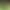 New Tea Longjing Tea Green Tea Longjing 50g Sample Fresh Fragrance Polyphenols Fresh Scent Sample Order Here New Tea Longjing Tea Green Tea Longjing 50g Sample Fresh Fragrance Polyphenols Fresh Scent Sample Order Here