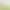 Artificial Multi-Stem Fiddle Leaf Fig Tree, Nordic Style Floor-Standing Green Plant, Soft Decoration for Shopping Malls and Hotels, Fake Tree for Landscaping, Bulk Purchase and Wholesale