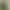 Green Slim-Fit, Complexion-Enhancing, Slimming, Petite-Friendly Camisole for Summer 2026, Versatile, Fashionable, and Trendy Top for Work and Casual Wear