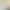 Two-in-one Oval Reflector Silver White Light Board Outdoor Live Folding Portable Photo Photography Advertising Light