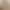 Champagne-Colored Short Evening Dress for Women 2026 New High-End Light Luxury Niche Sophisticated Petite Adult Ceremony Princess Dress