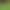 Golf Skirt Women's High-Waist Hip-Hugging Dress Quick-Drying Breathable Sports Skirt Daily Commuting Business Women's Skirt