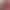 Tanabata Valentine's Day Decoration Love Aluminum Film Balloon Net Red Send Male and Female Friends to Confess Romantic Atmosphere Photo Props