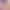 Amazon's Best-Selling Foreign Trade Plus-Size Bra, Leopard Print Seamless Underwear, Custom Bra, No Underwire, European and American Style Bra