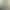 2026 American Retro Avocado Green Short-Sleeve Shirt for Women, Summer Loose Fit, Slimming, Versatile, Student Couple Top
