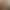 Amazon's Hot-Selling Solid Color Gradient Wearable Nails, Gold-Plated Pearl Leopard Print Nail Pieces, Hot Girl Style Nails, Fake Nails