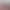 Large capacity quick-drying giant can write 0.5mm special carbon pen for students to study and test signature full needle tube pen three colors
