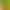 Cross-Border Cute Animal Shaped Bluetooth Earbuds Novel Frog-Shaped Bluetooth Earphones