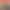 4L 2L Blender Multifunctional Household Blender for Grinding Fruits and Vegetables, Food Supplement Machine, Juicer, Food Processor, and Mixer