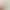 Pure Cotton Vest with Chest Pad Women's Spring and Summer Elastic Sleeveless Base Shirt Single-piece Strap Bra-free Outer Wearing plus size