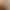 One-Piece Drop-Shipping Short Drawstring Waist-Cinching Polo Collar Long-Sleeve Knit Top for Women, Suitable for Spring and Autumn as a Base Layer