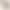 Purebred Golden Gradient Live Kitten Pet Cat Live 12-Color Dwarf Golden Gradient Cat Live Golden Gradient Long-Haired Cat Purebred Golden Gradient Live Kitten Pet Cat Live 12-Color Dwarf Golden Gradient Cat Live Golden Gradient Long-Haired Cat