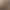 Wholesale 2025 New Autumn and Winter Icelandic Imitation Cashmere Long Coat Teddy Bear Imitation Fur Coat for Women Black Peach Pink