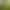 Hoe Weeding Artifact Weeding Tool Gardening Hoe Rake Manganese Steel Agricultural Tools Small Hoe Digging Wild Vegetable Hoe Weeder Hoe Weeding Artifact Weeding Tool Gardening Hoe Rake Manganese Steel Agricultural Tools Small Hoe Digging Wild Vegetable Hoe Weeder