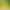 Double-Sided Sticky Insect Trap Boards, Yellow and Blue Boards for Greenhouses and Orchards, Household Insect Trap Boards for Trapping Fruit Flies, Aphids, Whiteflies, Thrips, Wholesale