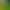 Moss Micro-Landscape Cartoon Cute Forest Mushrooms Clouds Small Trees DIY Gardening Decorations Accessories Desktop Ornaments Moss Micro-Landscape Cartoon Cute Forest Mushrooms Clouds Small Trees DIY Gardening Decorations Accessories Desktop Ornaments
