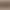Fashionable Waist Seal Women's Wide Decorative dress Simple All-match elastic Down Jacket Belt Skirt Belt