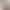 2026 Amazon Cross-Border European and American Cotton and Linen High-Waisted Fashion Plus-Size Wide-Leg Casual Shorts for Women Sports and Leisure