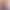 2026 new cross-border fashion: European and American style pink striped shirt for women, featuring heart-shaped buttons, long sleeves, and a versatile collar design