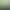 Cross-Border Hot Selling Simulated Leaves Silk Green Leaves DIY Headdress Garland Clothing Accessories Wedding Christmas Decoration
