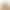 Cross-Border Hot-Selling Women's Bag, High-End Luxury Crossbody Bag, Large-Capacity Handbag, Shoulder Bag, Autumn and Winter Brown Bag