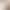Brown Cat-Eye Style Lower False Eyelashes, Distinct and Natural-Looking, Realistic Faux Hair-Like Segmented Lazy Eyelashes