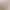 Plus Size 150kg Women's Rolled Hem Wide-Leg Suit Shorts 2024 Summer New High-Waisted Slimming A-Line Pants